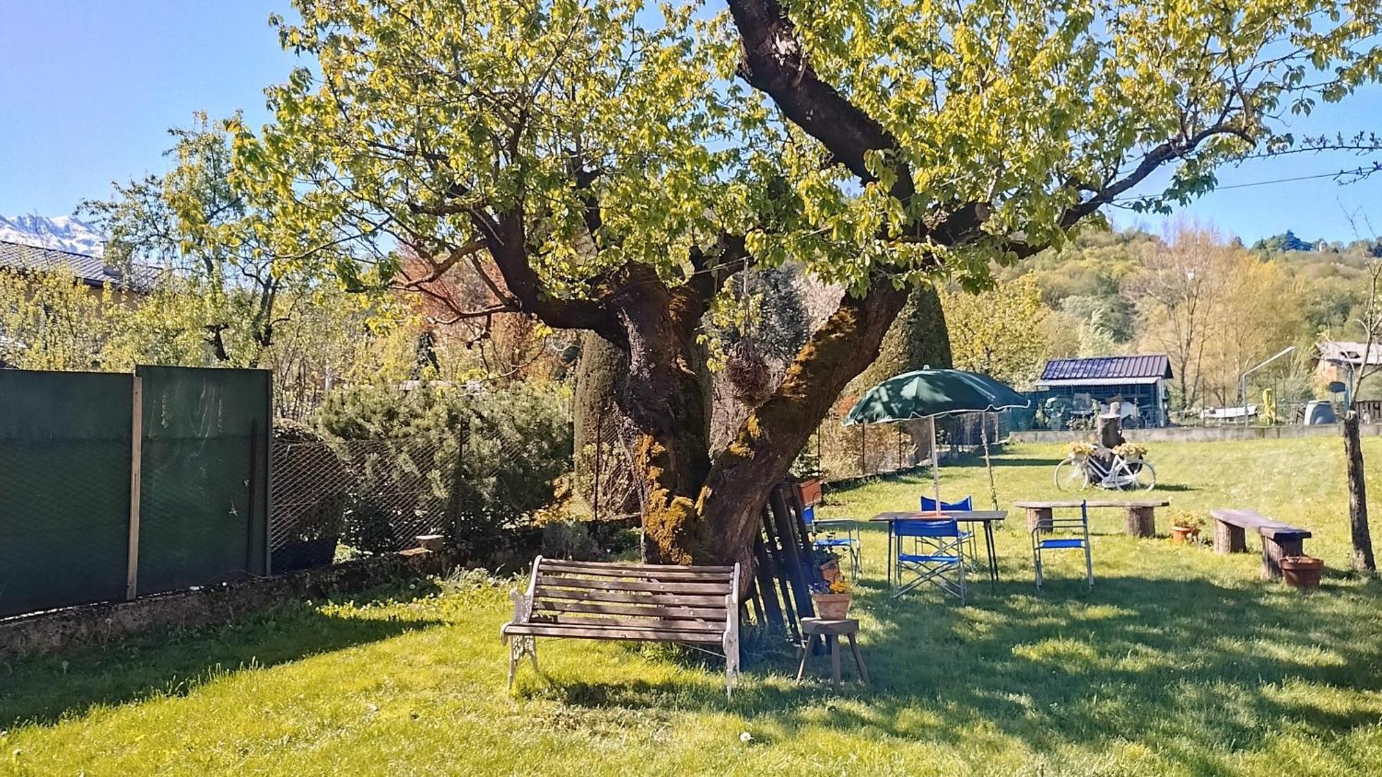 Il Cortile Apartman Boves Kültér fotó
